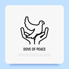 Dove in hands thin line icon. Modern vector illustration of peace symbol.