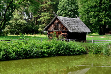 Fototapeta na wymiar A close up on a wooden shack, hut, or house standing next to a small pond, lake, or swamp covered with shrubs, reeds and other flora seen on a sunny summer day near a dense forest or moor in Poland