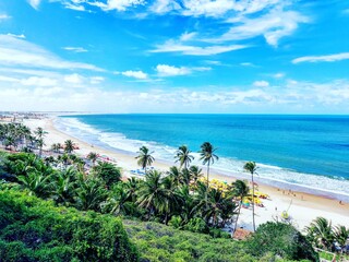 beach with palm trees