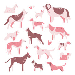 Set of isolated vector drawings of different dog breeds, cute trendy illustration for children