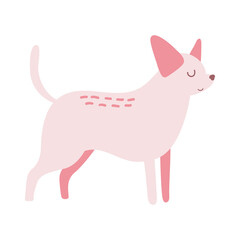 Isolated vector illustration of a Chihuahua dog