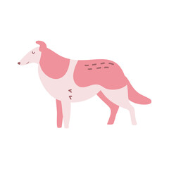 Isolated vector illustration of a Collie dog