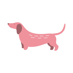 Isolated vector illustration of a Dachshund dog