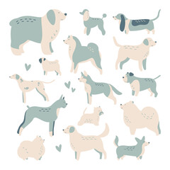Set of isolated vector drawings of different dog breeds, cute trendy illustration for children