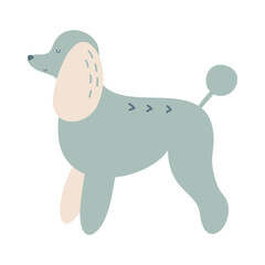 Isolated vector illustration of a Poodle dog