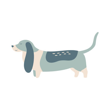 Isolated vector illustration of a Basset hound dog