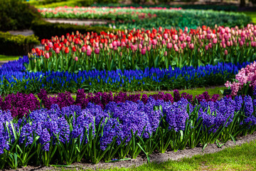 Colorful garden landscape and grassy lawn