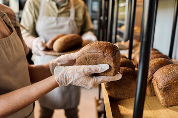 Gloved hands of young woman going to put fresh loaf of bread on display