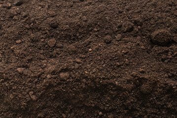 Black land for plant background. Top view.