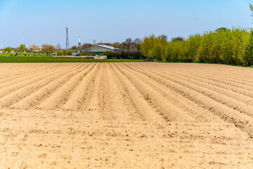 View of the plowed fields in the spring for growing