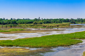 Fototapeta na wymiar Landscape view of large river nile in Egypt