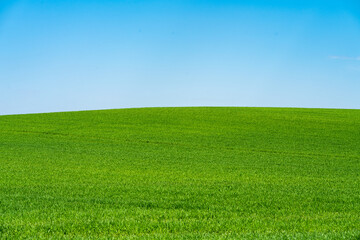 Green hill with dreamy clouds and blue sky in the background.
