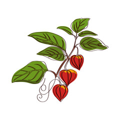 Abstract illustration of a fruit berry plant on a white background