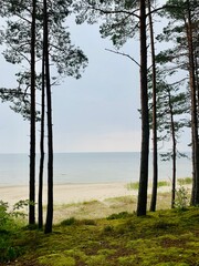 sea coast view in summer