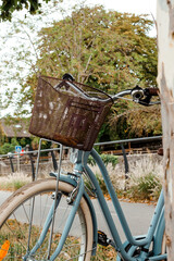 A bicycle with a basket on the street by the road is leaning against a tree