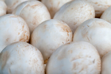 unwashed mushrooms champignon during cooking