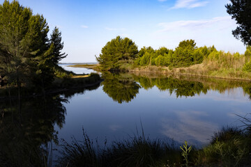 Graceful bays with overgrown-made causes. Divjaka-Caravasta National Park Albania.