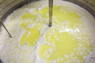 phases of ricotta production in a cheese factory in Greece