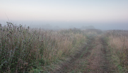 Obraz na płótnie Canvas Autumn fog on the road in the field