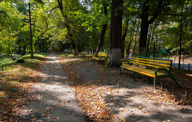 In the city park autumn