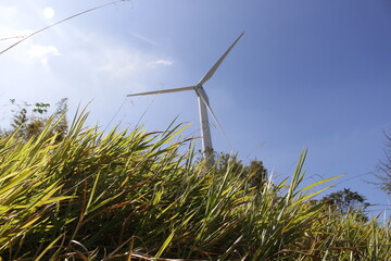 wind turbine on a field