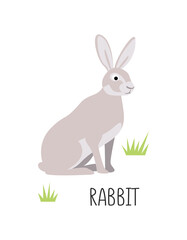 Vector flat illustration of wild forest animal, rabbit. Illustration isolated on white background.