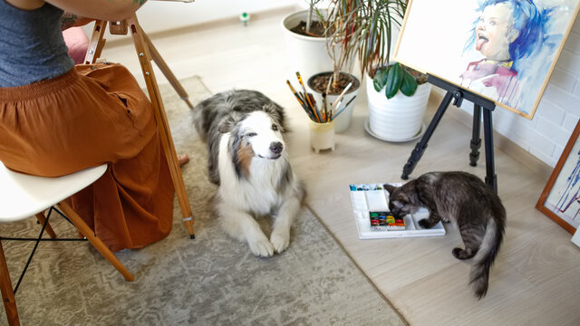 dog of breed australian shepherd and a black kitten in a workshop near the artist, a cat and a puppy with paints in the home living room, cat and dog together