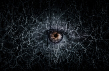 Mysterious eye from darkness.  Сoncept on psychological topic of addiction (drug addiction, alcoholism) and horror, Gothic, fear. Eye of a hacker, a gamer is surrounded by pattern of cobwebs, crack. - obrazy, fototapety, plakaty