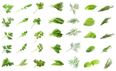 Set with different herbs on white background