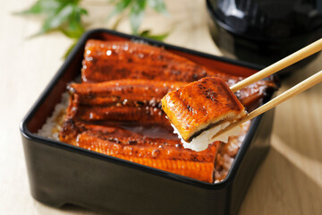 鰻重 Unagi Grilled Eel over Rice with Japanese Sauce