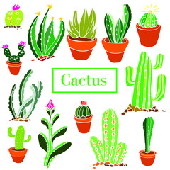 Hand drawn cactus set isolated on white background. Mexican aloe plant, cacti flower and green tropical home elements. Summer flora isolated vector icons collection