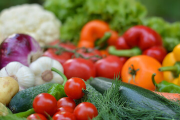 Beautiful fresh organic vegetables . The concept of gardening, healthy eating, vegetarianism.