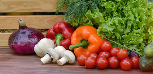 Fresh organic vegetables in a wooden box and on a wooden table on the background of a vegetable garden.Concept of biological, bio products, bio ecology, gardening, healthy food, vegetarianism.