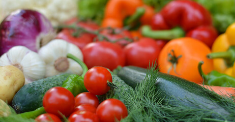 Colorful set organic food. Fresh raw vegetables. Healthy vegetarian food.Vegetarian eating concept