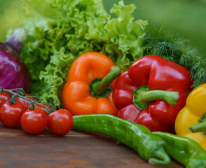 Beautiful fresh organic vegetables on the background of a blurred green vegetable garden. The concept of gardening, healthy eating, vegetarianism. Copy space for text
