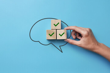 The silhouette of the brain and wooden cubes with ticks. Symbol of the approved action plan
