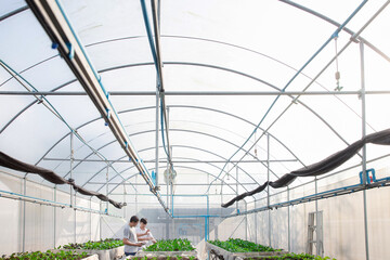 Farmer monitoring organic vegetable in plant nursery greenhouse farm. Smart agriculture technology. Smart agriculture technology concept.
