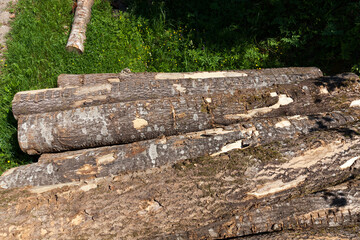 wood with bark and damage