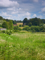 An uncultivated field, filled with verdant growth, before a lake and a house in hillside woodland, all under a summery blue sky.