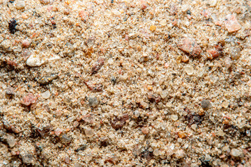 A background with a sand surface in soft focus at high magnification. Sand granules under a...