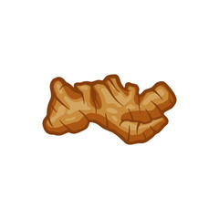 ginger vector illustration. spicy herb ingredient. for body treatment.