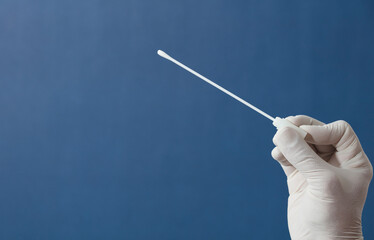 nasal swab in doctor or nurse hands with blue background