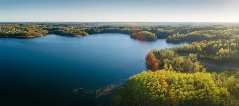 Aerial drone photo of green tree crones growing in lake shore. Nature landscape. Top view of a forest lake. Travel concept.