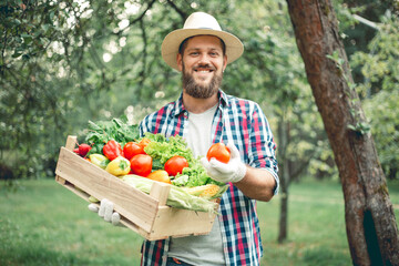 Happy man farmer with vegetables