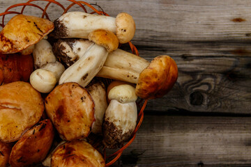 Freshly picked forest mushrooms in basket on rustic wooden table. Top view