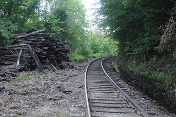 curved railroad tracks in the woods
