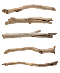 Set of dry tree branch on white background, including clipping path