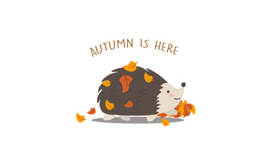 The cute hedgehog gathered fallen leaves on his back. Autumn is here. 