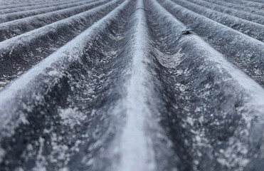 Close-up roof of the house