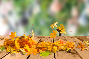 Naklejka na ściany i meble Colored autumn leaves on wooden planks